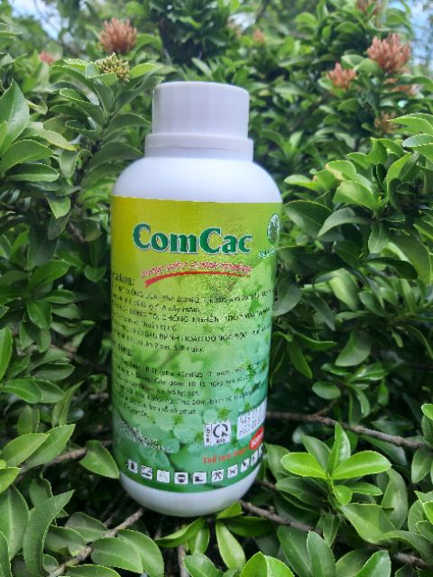 Phân bón lá Comcac - Nảy mầm nhanh Ra rễ sớm Đẻ nhánh Kích thích sinh trưởng cây trồng