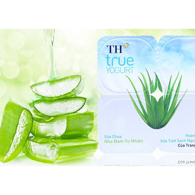 4 HỘP SCA NHA ĐAM