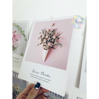 Postcard chụp hình sản phẩm
