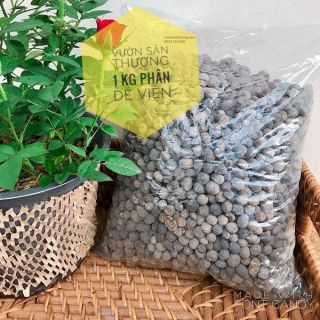 Phân dê viên tan chậm