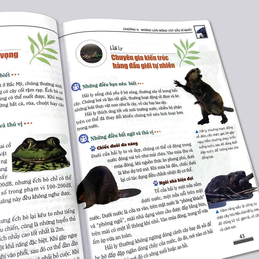 Sách - Khám phá bí ẩn thế giới tự nhiên - Sinh vật