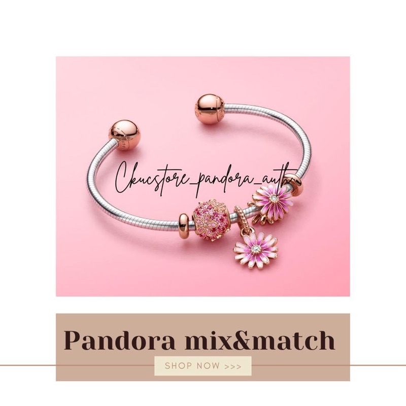 Charm Pan S925 bảng L