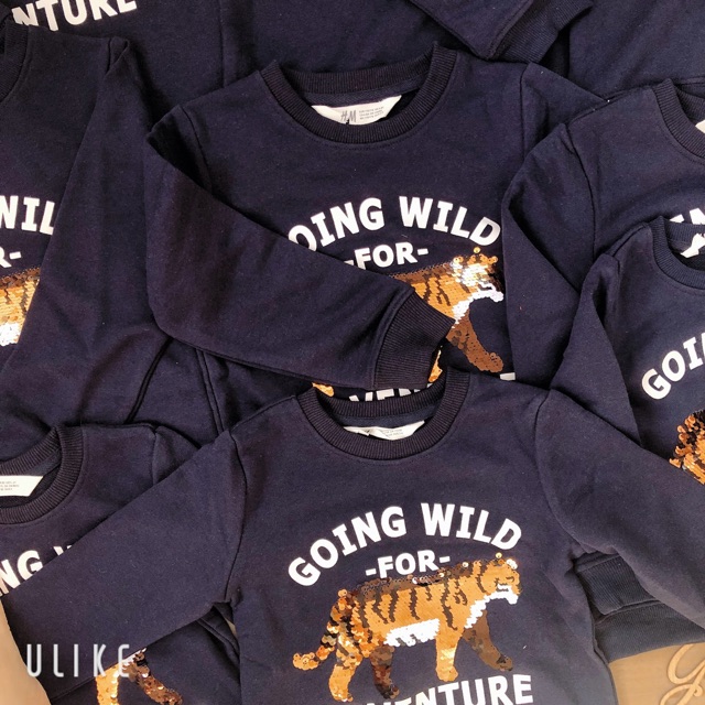 Áo hổ H&m bé trai size 1,5/2y - 8/10y