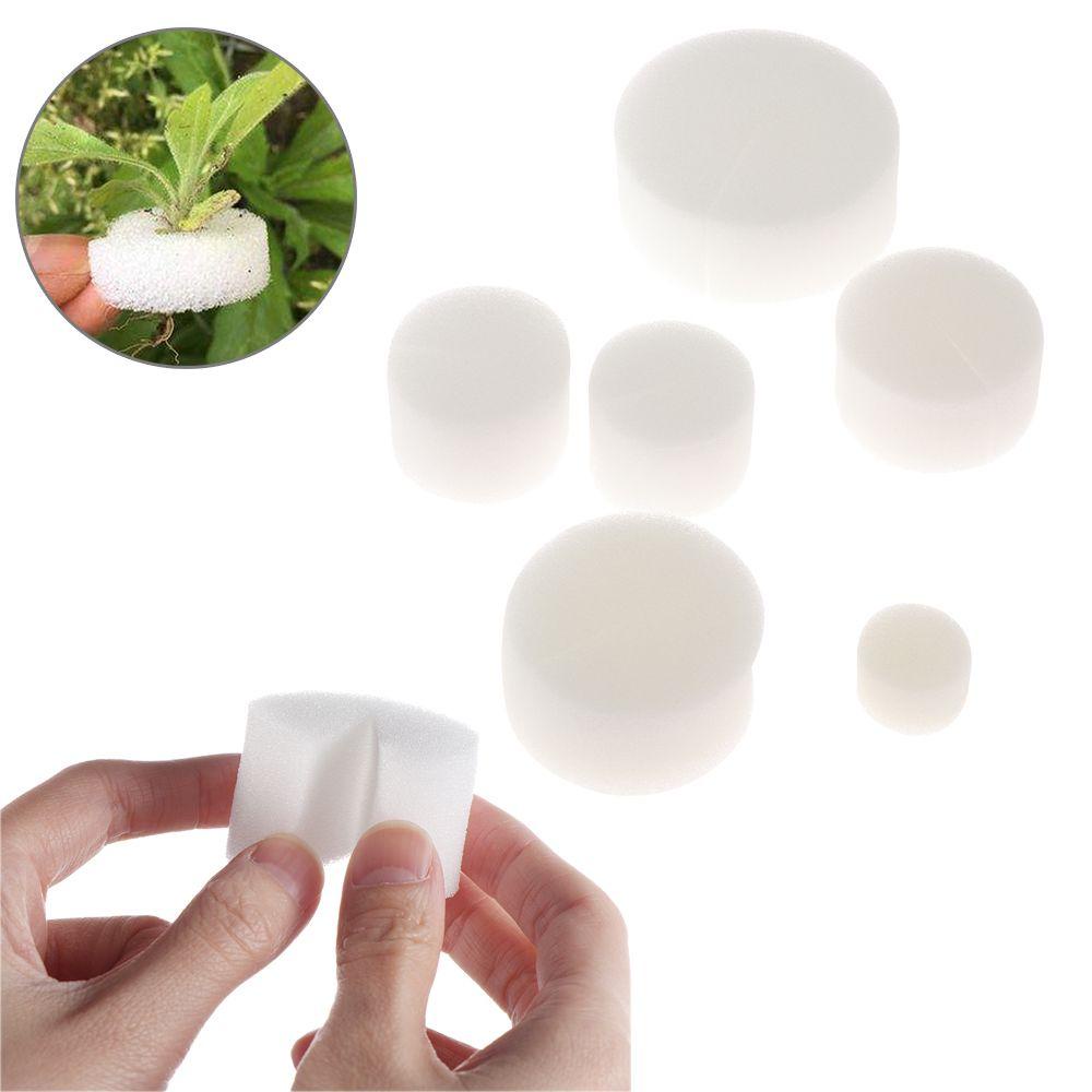10 / 50 Miếng Xốp Siêu Bền Để Hạt Giống Bể Cá Tiện Dụng