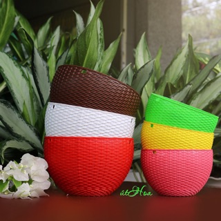 Combo 10 Chậu treo mây lớn (19x13 cm) dày dặn sắc sảo