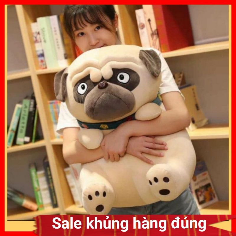 Chó bông mặt xệ pug mềm mịn dễ thương