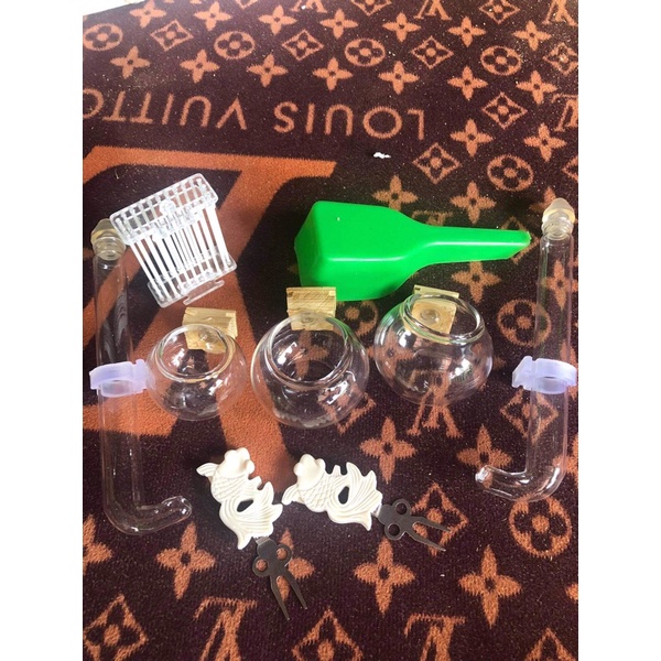 1 combo cho chim mào choè