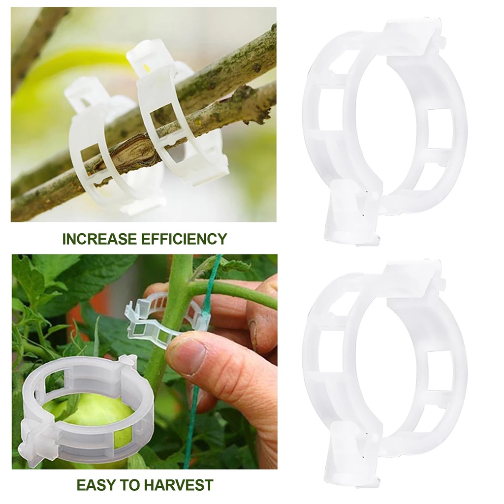 Set 50 Kẹp Cố Định Cây Dây Leo Gắn Tường Tiện Dụng