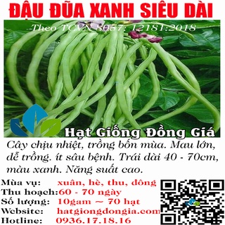 10Gram ~ 70 Hạt Giống Đậu Đũa Siêu Dài Màu Xanh  (8057)