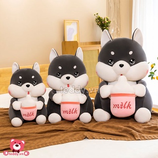 Gấu bông sói xám husky ôm bình sữa