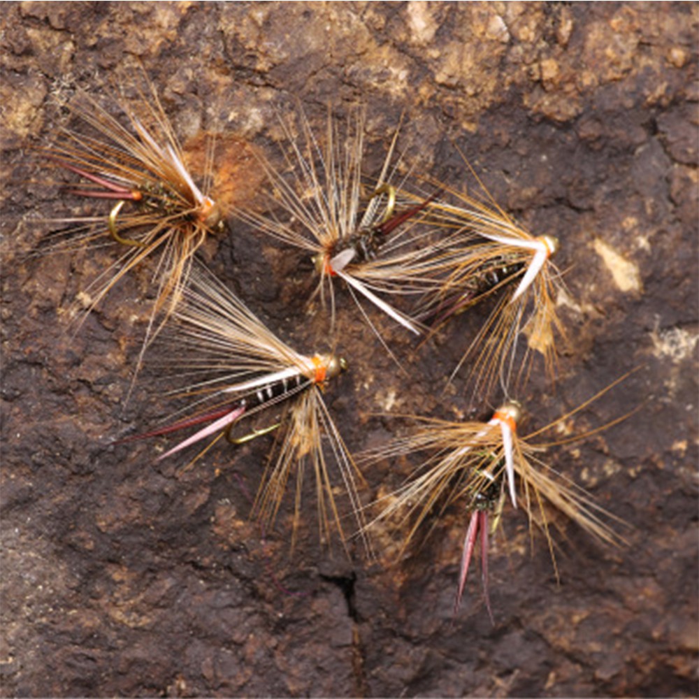 Bộ 5 mồi câu cá nhân tạo hình côn trùng màu ngẫu nhiên có lưỡi câu tiện dụng