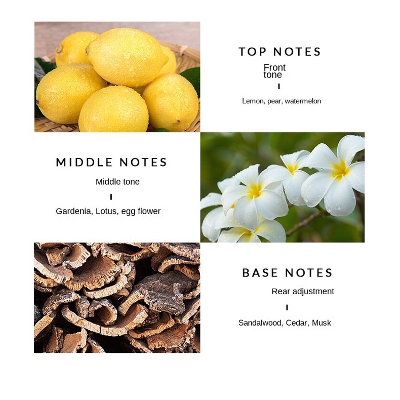 Chai nước hoa VIONKI hương bơ/hoa tự nhiên cho nam