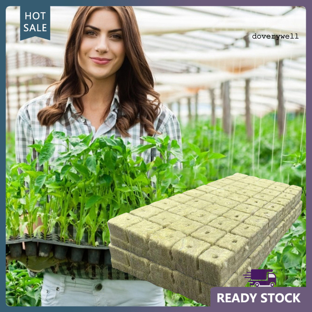 50 Khối Lập Phương Kích Thích Sự Phát Triển Của Thực Vật