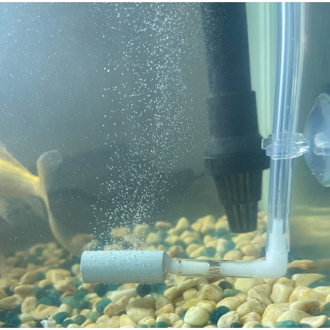 đầu sủi khí co2 giá rẻ( không dùng được cho máy oxi)- quả sủi co2 sử dụng cho bình chế cung cấp co2 cho bể thủy sinh