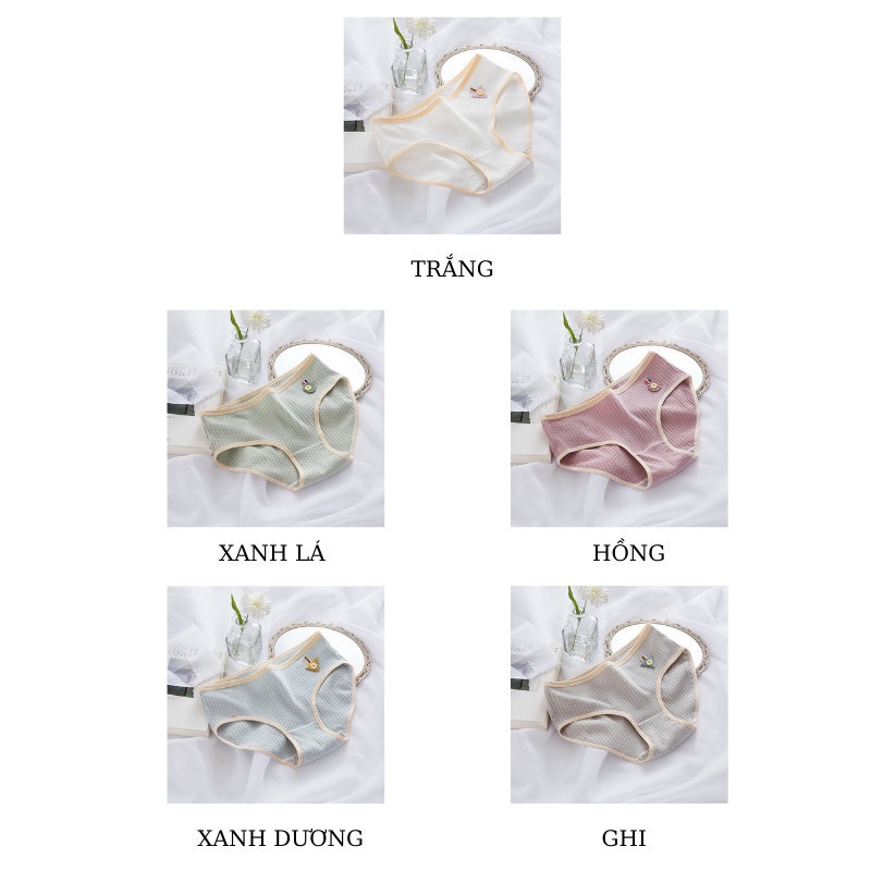 Quần lót nữ huy hiệu chất gân tăm cao cấp trẻ trung thoải mái QL19 | BigBuy360 - bigbuy360.vn