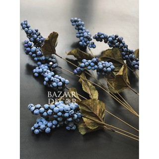 Cành quả việt quất Blueberry 65cm