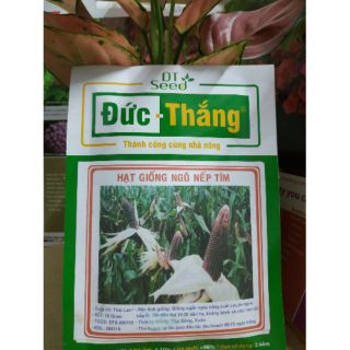 HẠT GIỐNG NGÔ NẾP TÍM 10gr - Rau củ quả trồng tại vườn, sân thượng, nông trang, ban công