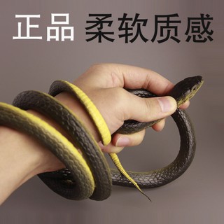 Nukied➰10 Rắn giả đồ chơi
