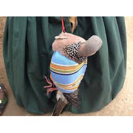 Combo 10 túi đựng chim cảnh, túi bổi chào mào