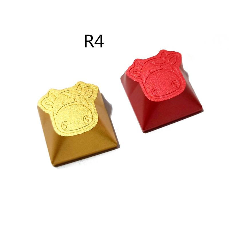 1 Phím Rời R4 Bằng Nhôm In Hình Nhóm Nhạc Bts