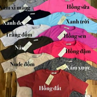 Comboo áo thun
