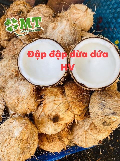 Kẹo dừa dứa non cuộn bánh tráng ít đường Hồng Vân 500g