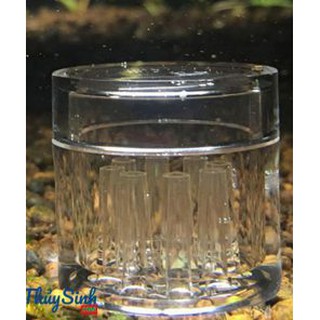 Bẫy sán Mica 9 lỗ