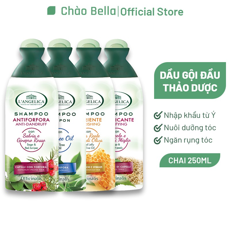 Combo Quà Tết Hạnh Phúc Gồm 1 Sữa Tắm 500ml, 1Dầu Gội 250ml, 1 Tuýp Kem Đánh Răng Thảo Dược L'angelica &amp; Bộ Tắm Gội