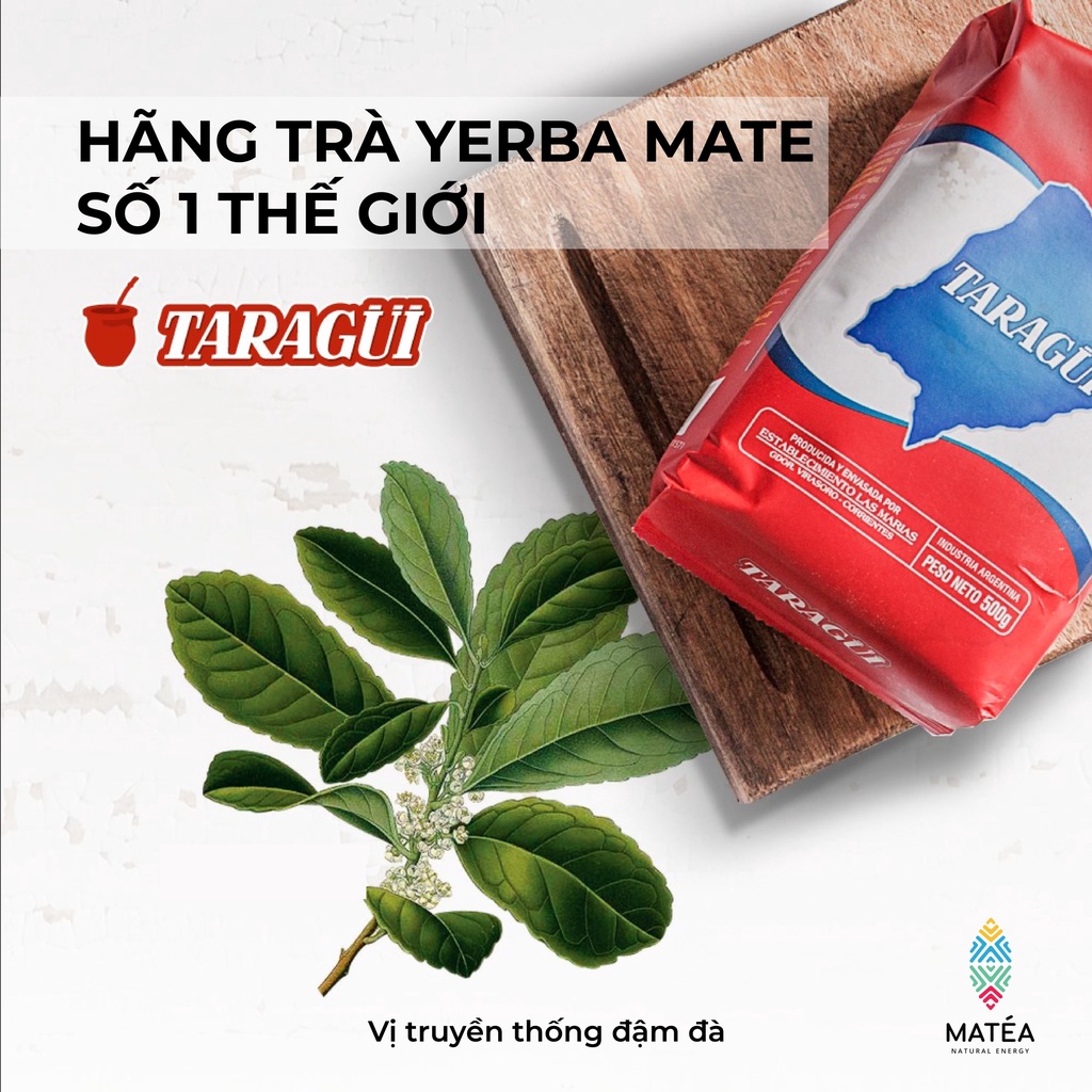 [Độc quyền] Trà TARAGUI Yerba Maté Original - Vị truyền thống + Free 10 túi lọc trà tái sử dụng