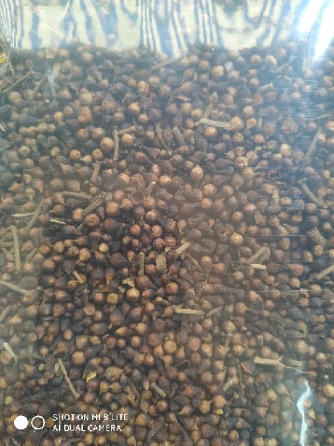 Trà nụ vối 100g | BigBuy360 - bigbuy360.vn