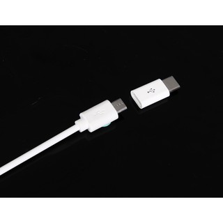 Otg Type-C To Usb Otg Adapter Converter