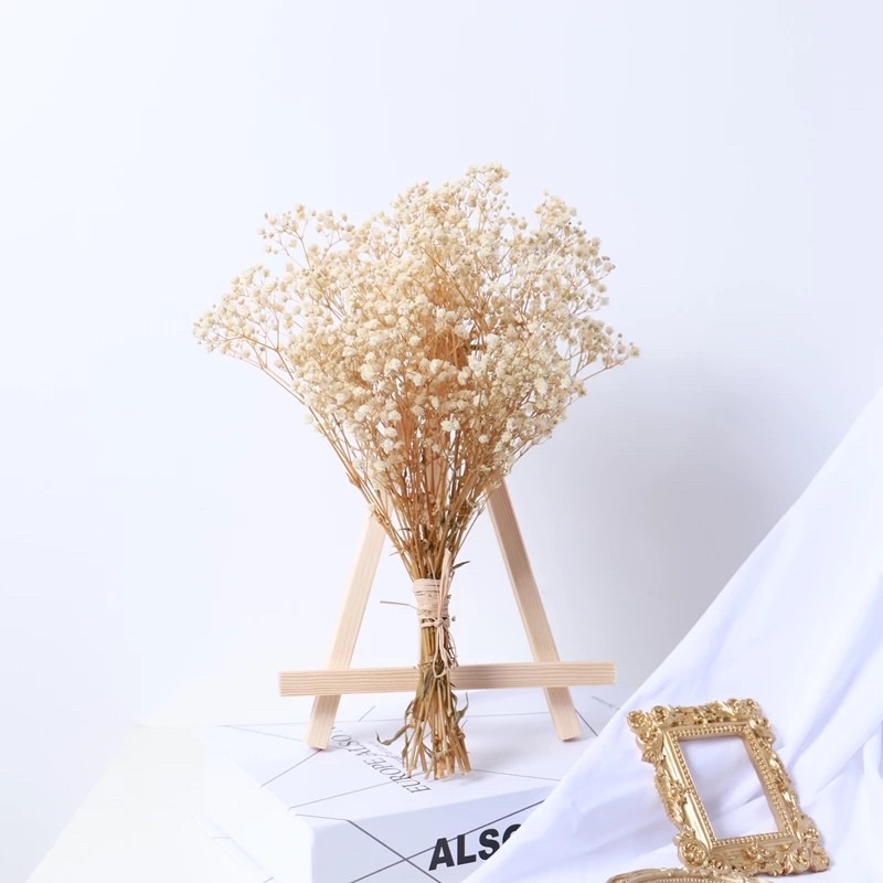 Hoa Baby Trắng Ngà Vintage-Bó Mini, Hoa baby khô, decor trang trí nhà cửa