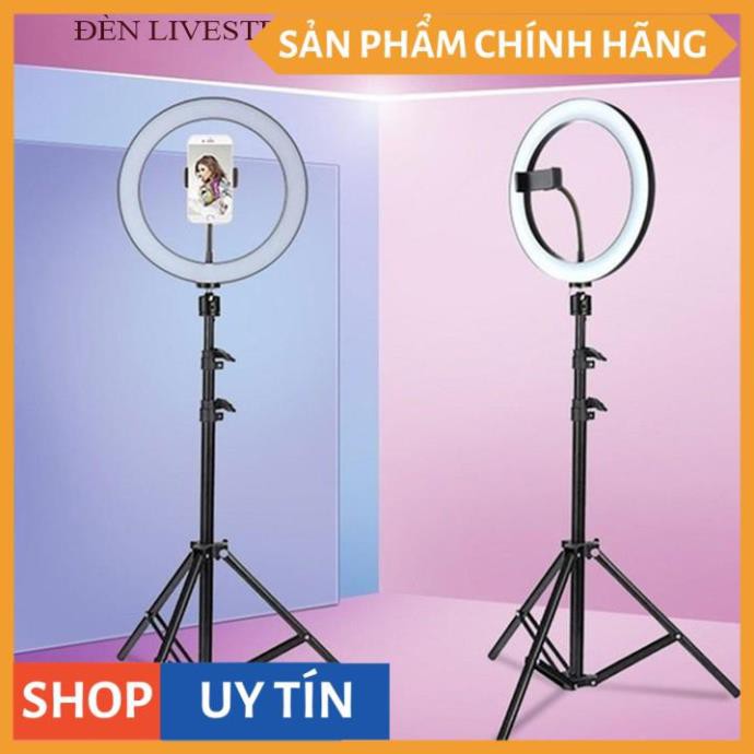 Bộ Giá Đỡ Điện Thoại Livestream Có Đèn Led 26cm - Chiều cao 2 mét 1