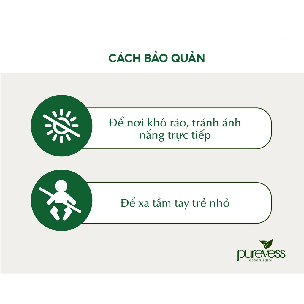 Bình xịt tinh dầu diệt mối và côn trùng Purevess - an toàn và tiện lợi dung tích 100ml, 500ml