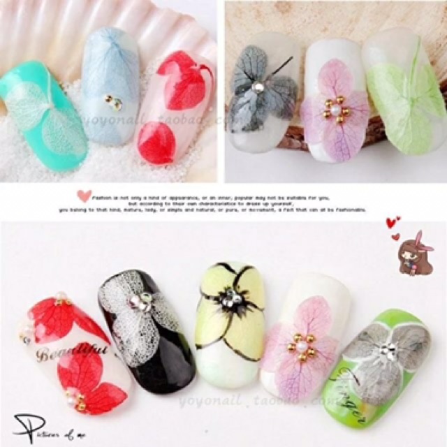 Hoa khô lụa cánh to