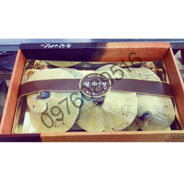 ( SALE SỐC) NẤM LINH CHI ĐỎ HÀN QUỐC 1KG HÌNH CÔ GÁI