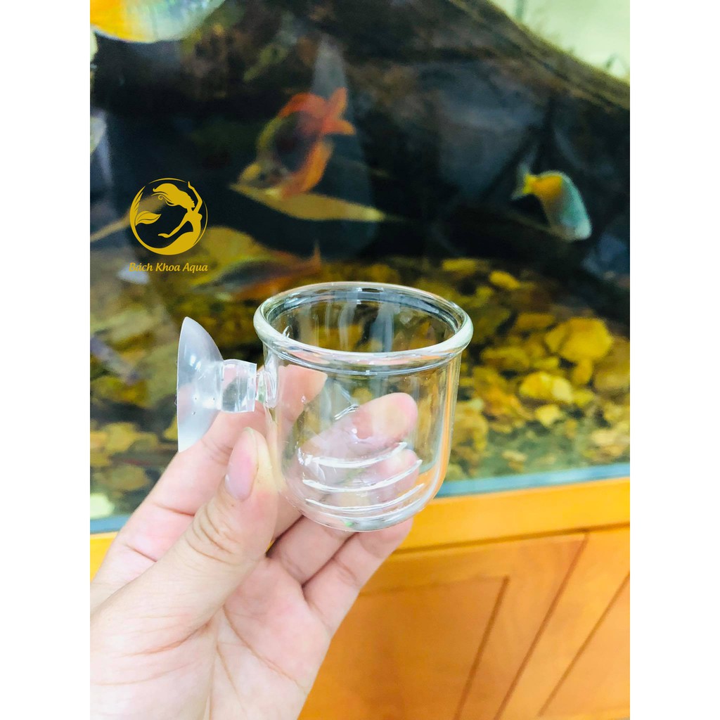 Cốc đựng giun cho cá ăn thủy tinh 4.5cm x 4.5cm