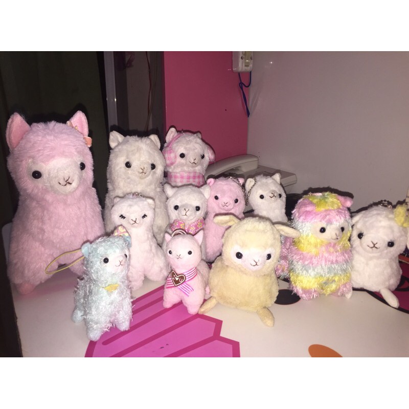 don hang 300k cua cute