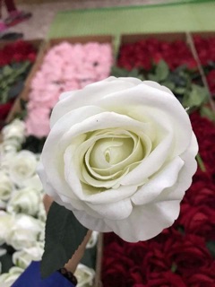 Hoa lụa giá hấp dẫn