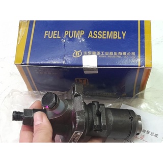 Heo dầu /tổng bơm Máy nổ D24, D6, D9,.....