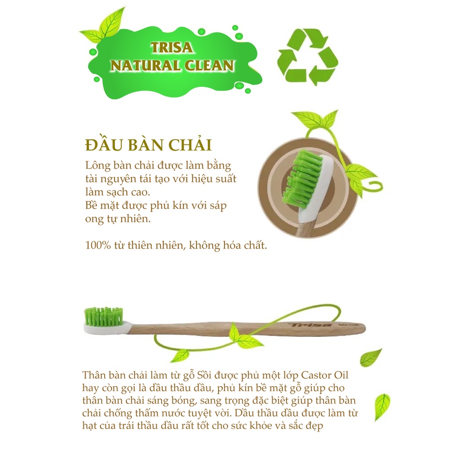 Bàn Chải Đánh Răng Thân Gỗ Trisa Natural Clean Từ Thiên Nhiên