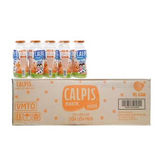 Thức uống với sữa lên men calpis mini vị cam thùng 40 lọ x 80ml