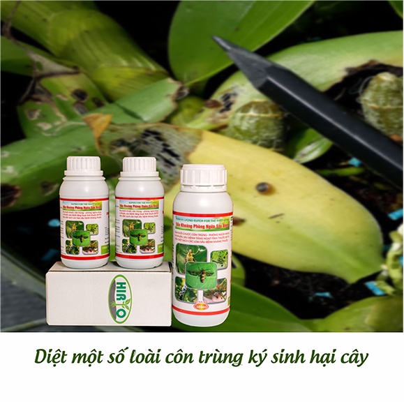 Tinh Dầu Tỏi Trị Sâu, Bọ, Phòng Ngừa Virus -  Dành cho Hoa Lan - Rau - Cây Trồng v.v.v