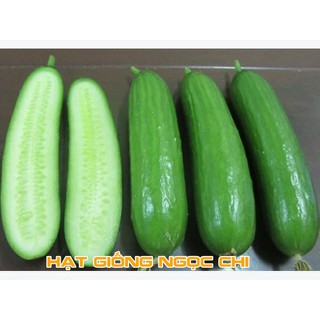 Hạt giống Dưa Chuột Nếp Ta - 10 Hạt