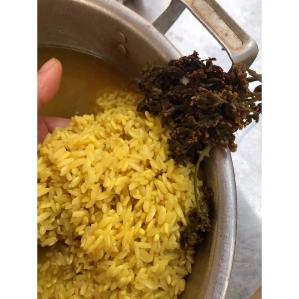 HOA BÓ PHÓN [MẬT MÔNG] THỔI XÔI VÀNG THƠM NGON, TÚI NGÂM ĐƯỢC 20KG GẠO