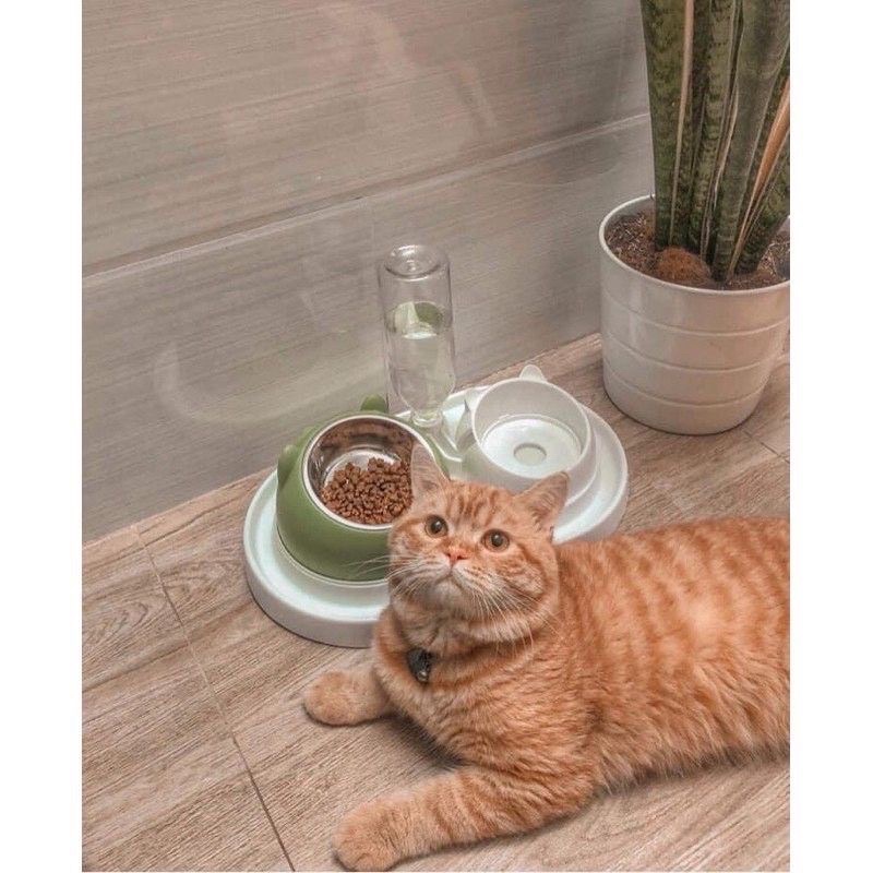 bát đôi chống kiến 400ml size lớn bát đôi chống gù cấp nước tự động