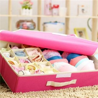 [ Có sẵn ] Hộp đựng đồ lót 16 ngăn tiện dụng cho tủ quần áo Hàng nhập khẩu👙👙👙