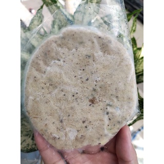 SỈ LỐC 25 MIẾNG NHÂN TÔM HAMBURGER