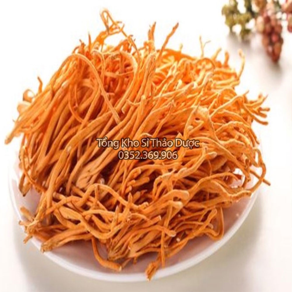 Đông trùng hạ thảo thượng hạng 1kg (Trà đông trùng bồi bổ sức khỏe,dưỡng nhan)
