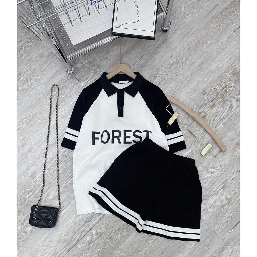 Bộ đùi len tăm FOREST cổ sơ mi quần short đùi DN135